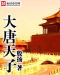大唐天子是什么